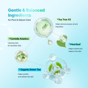 BLANC NATURE ingredient label close-up highlighting tea tree, Centella Asiatica, green tea