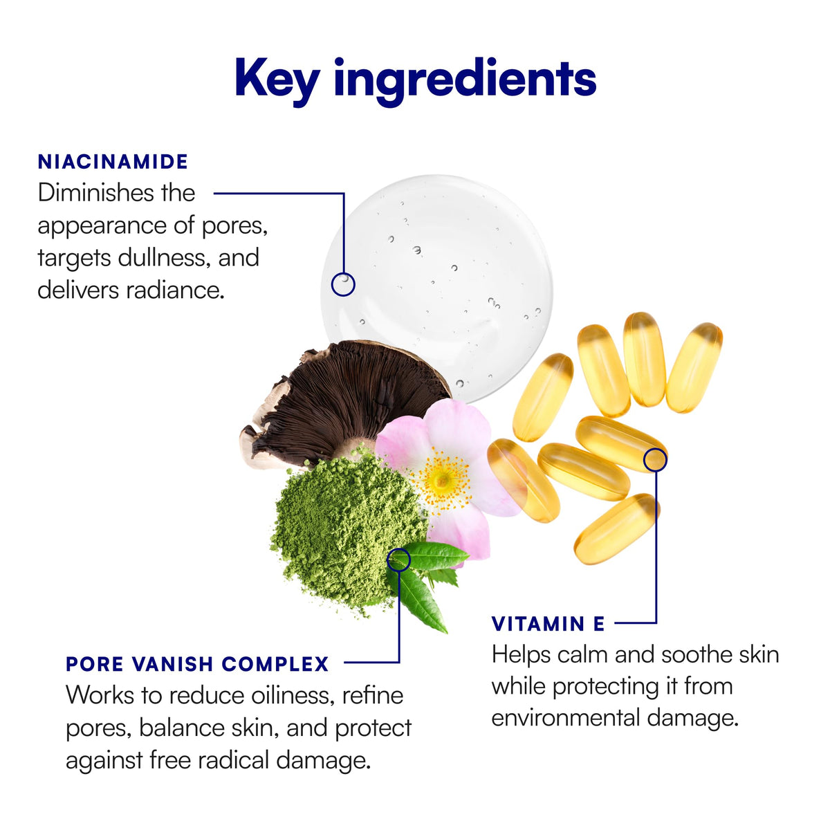 Bliss ingredients flatlay with green tea and botanicals for balancing oil
