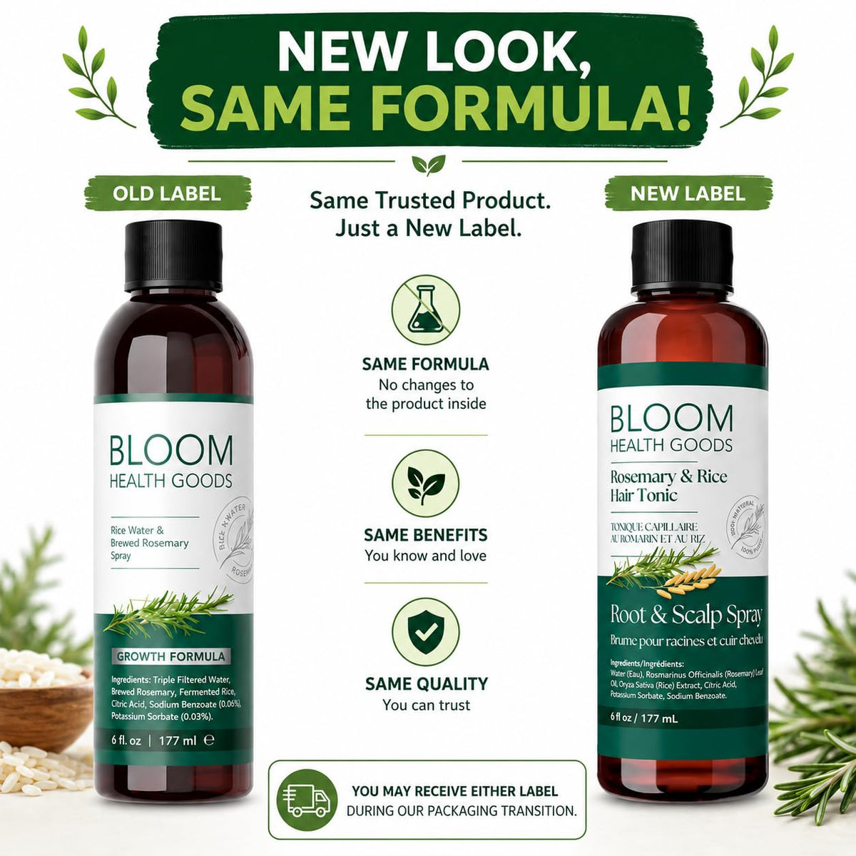 Bloom Health Goods close-up of rosemary sprigs steeping, highlights fresh botanical sourcing