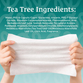 Body Prescriptions ingredient label close-up showing tea-tree and clean formula