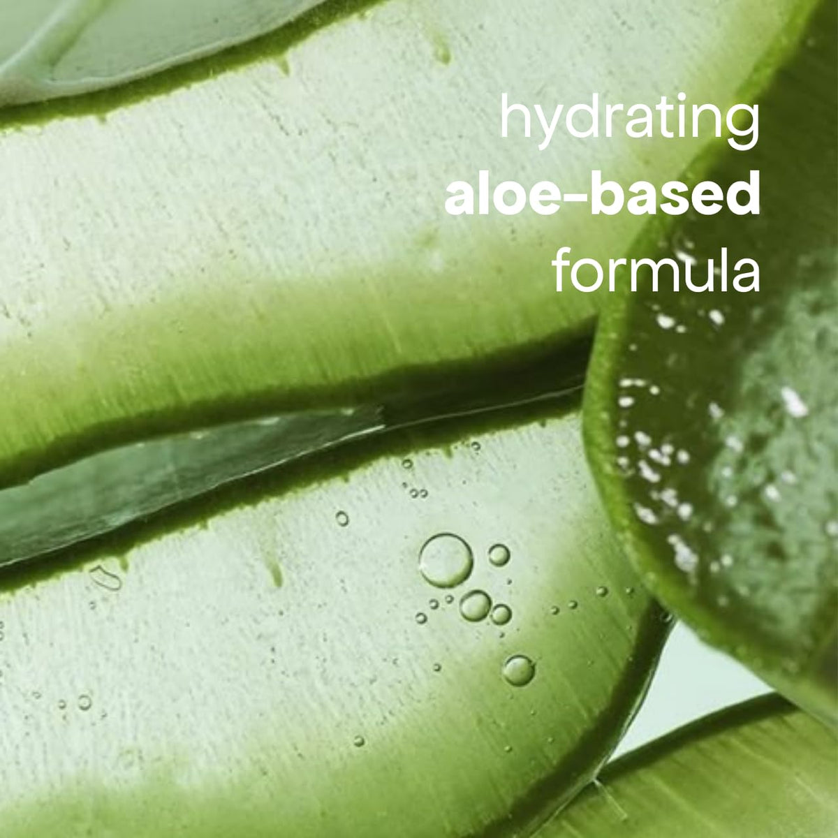 BONDIBOOST aloe and rosemary botanicals arranged, communicates soothing benefit
