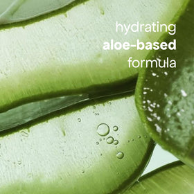BONDIBOOST aloe and rosemary botanicals arranged, communicates soothing benefit
