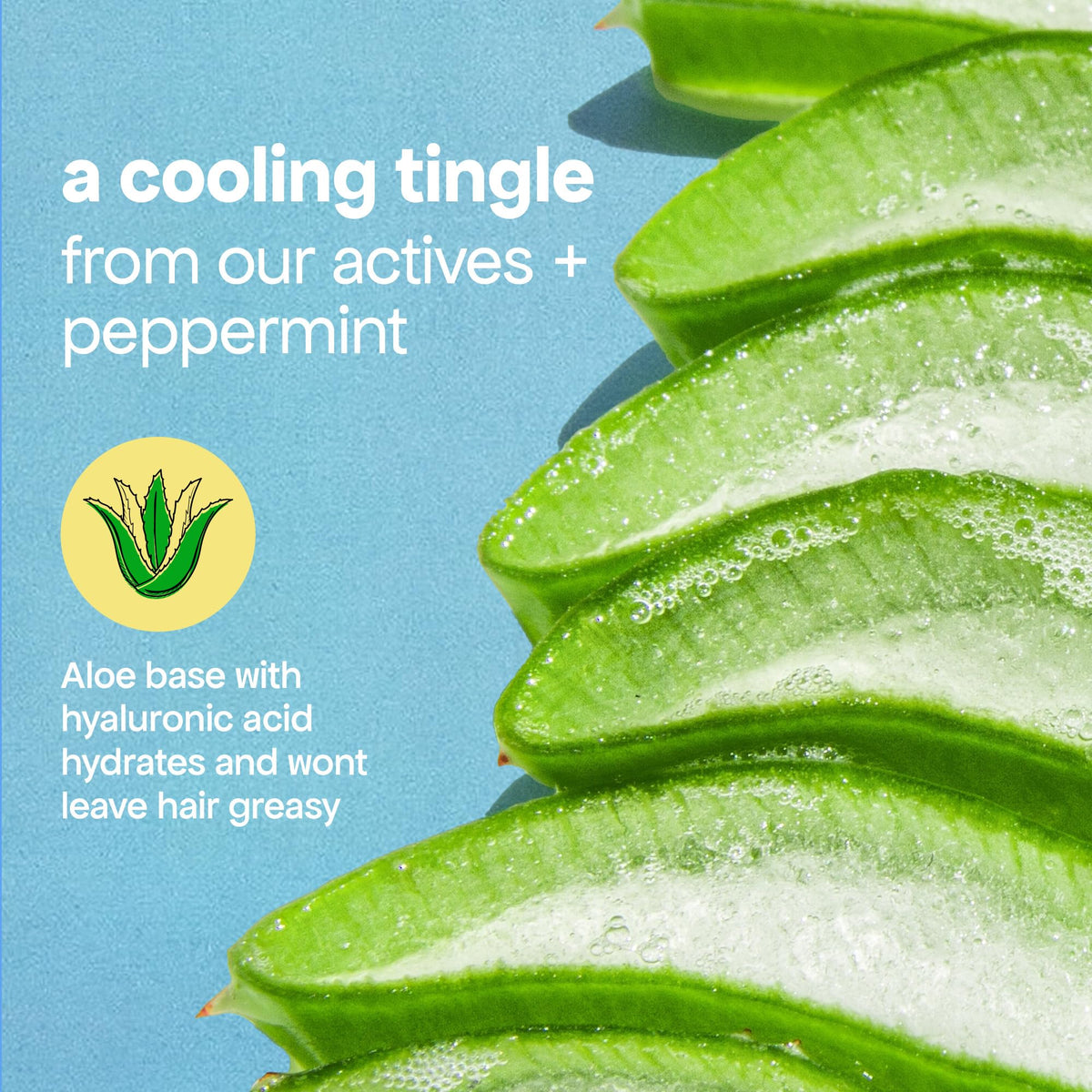 BondiBoost ingredient label close-up highlighting Procapil and Redensyl