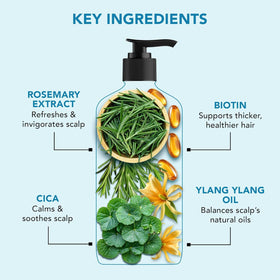 Botanic Hearth before and after hair scale showing improved fullness