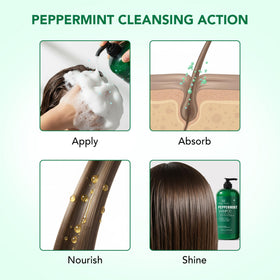 Botanic Hearth shampoo placed in bathroom setting showing daily use lifestyle