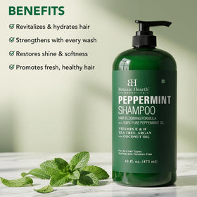 Botanic Hearth shampoo lather in hand showing rich foam and better cleansing