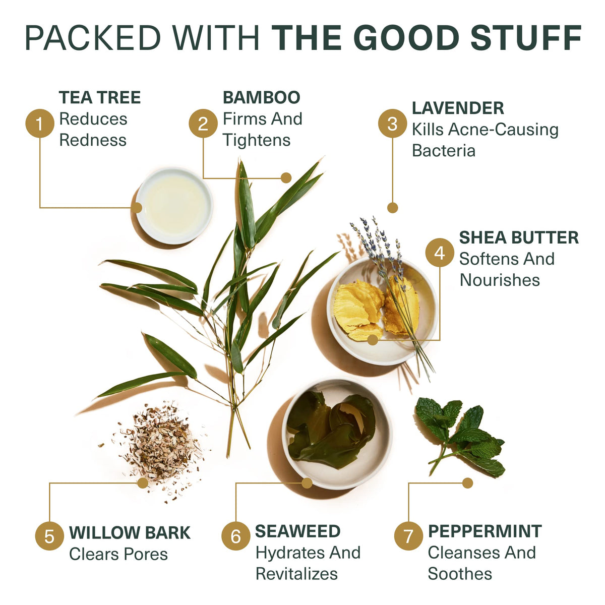 Botanic Tree botanical ingredients flatlay highlighting soothing botanicals