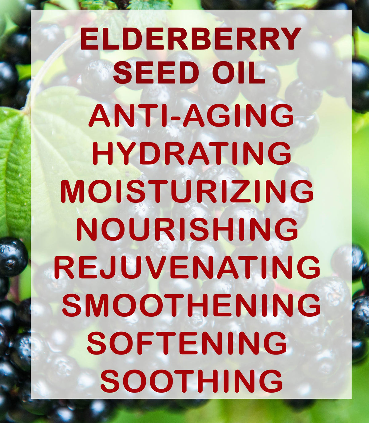 Botanical Beauty applying oil to face demonstrating gentle hydration and glow