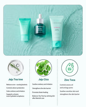bring green travel size kit held to show compact convenience