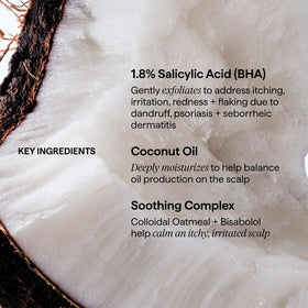 briogeo applying conditioner to wet hair to illustrate in-shower use and scalp coverage