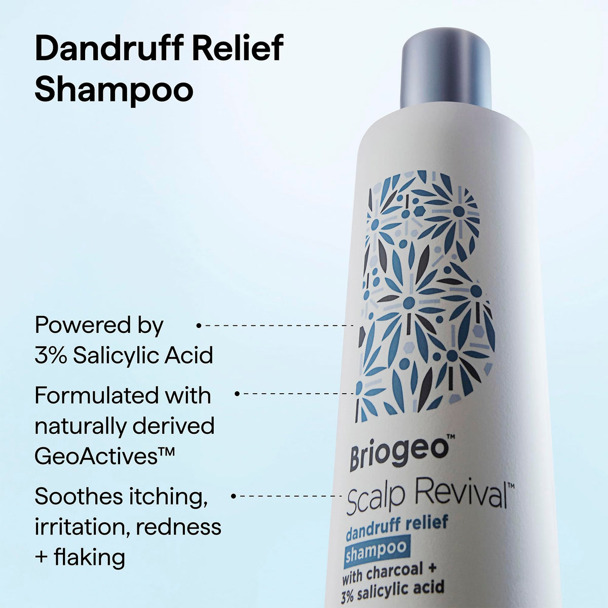 Briogeo Binchotan charcoal crushed pieces illustrating detox benefit