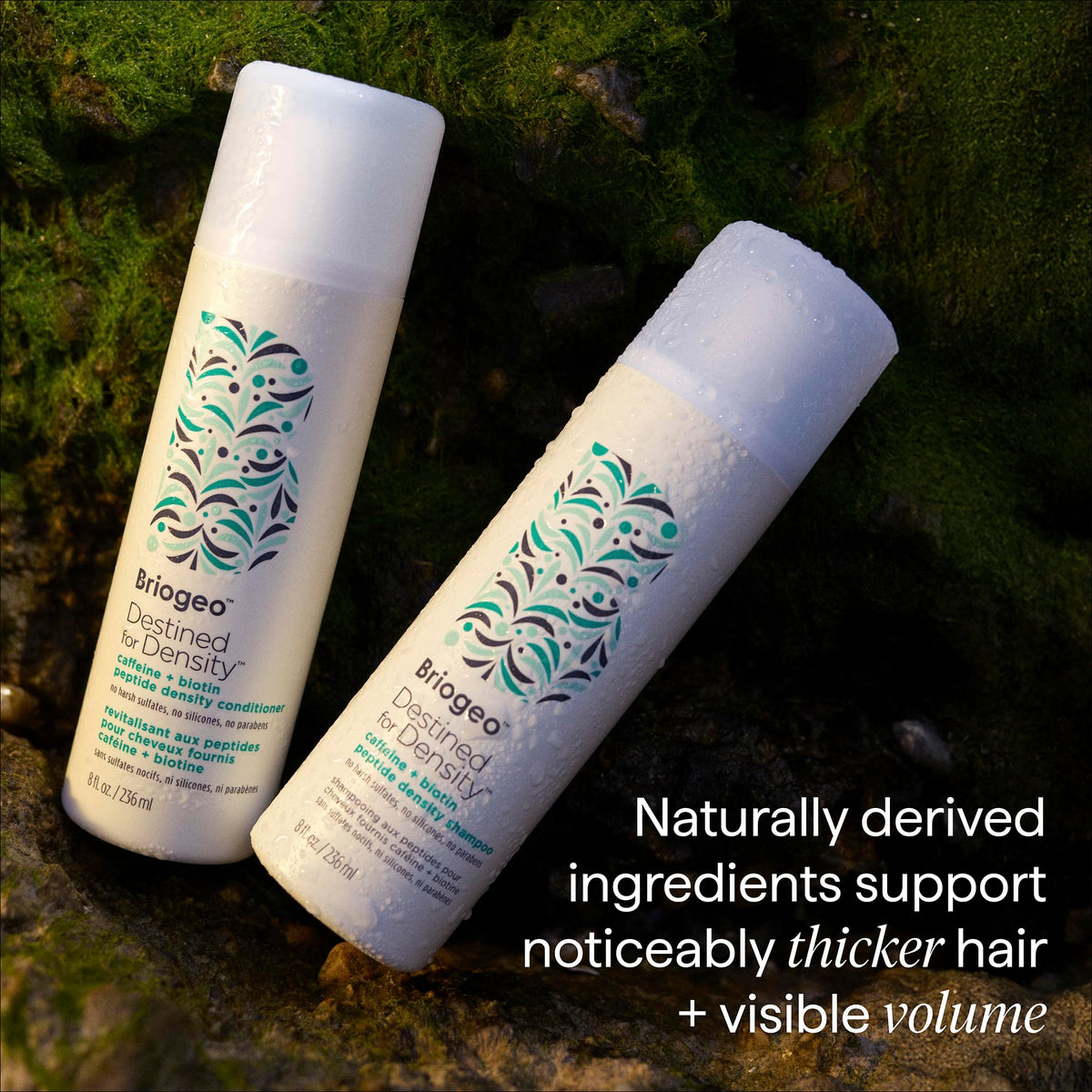 Briogeo before and after hair image showing improved thickness appearance