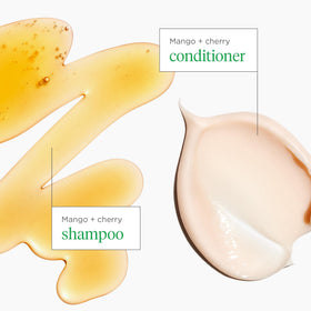Briogeo two bottles side by side showing actual product scale