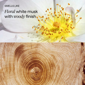 Briogeo rosehip oil and algae extract ingredient shot highlighting nourishment