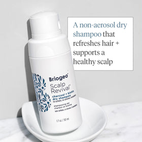 briogeo ingredients flatlay with binchotan charcoal and biotin showcasing detox and strength benefits