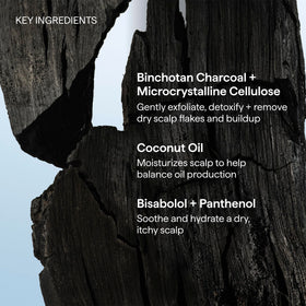 briogeo shampoo on a bathroom shelf styled to show clean, vegan skincare routine