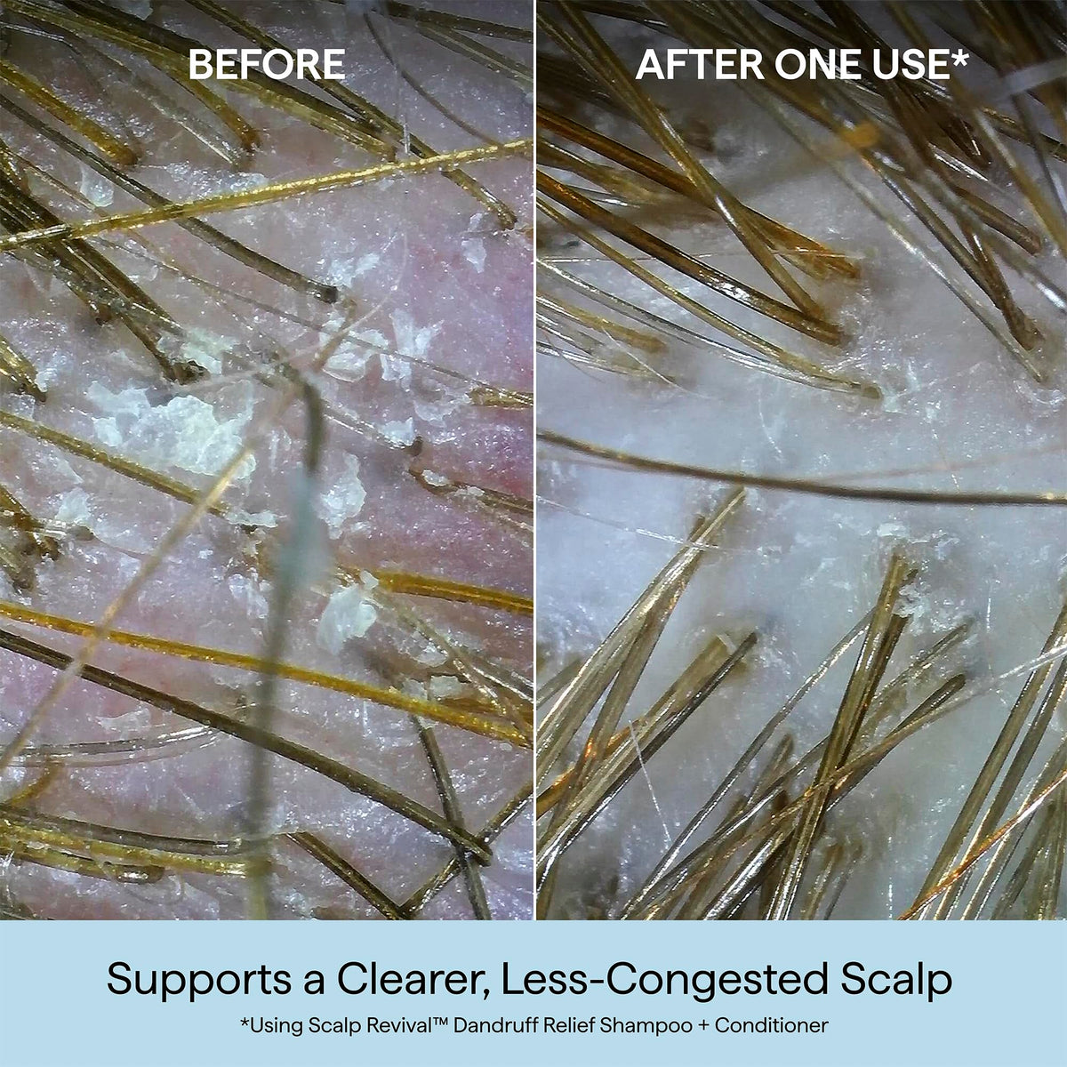 briogeo label close-up highlighting active ingredients and clean formula benefits