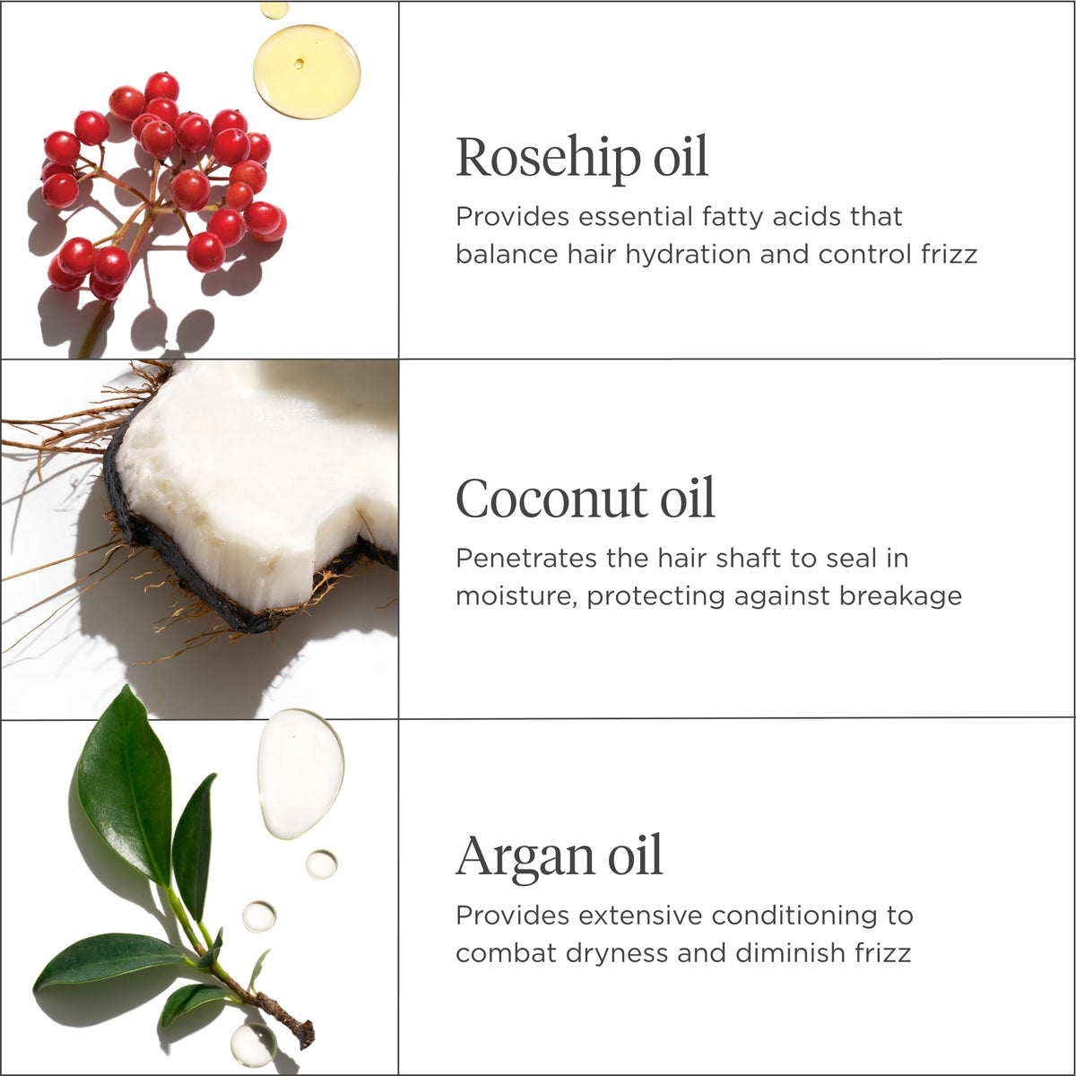 Flatlay of rosehip, argan, coconut oils with Briogeo bottle highlighting nourishing oils