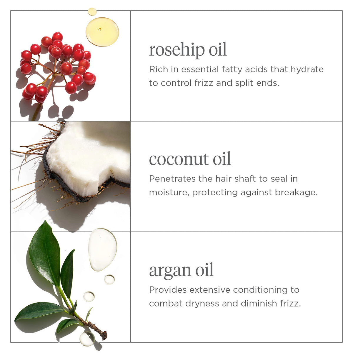 Briogeo ingredient trio display of rosehip argan coconut benefits