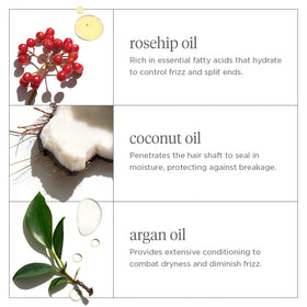 Briogeo ingredient trio display of rosehip argan coconut benefits