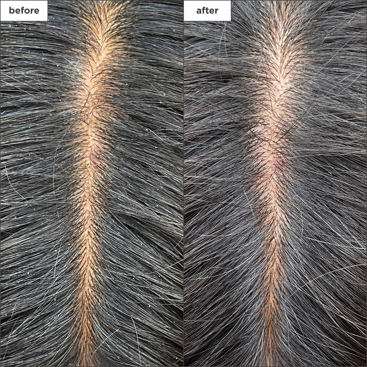Briogeo binchotan charcoal ingredient photo highlighting detox benefits for clogged scalps