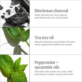 Briogeo serum applied to scalp in use demonstrating quick absorption benefit