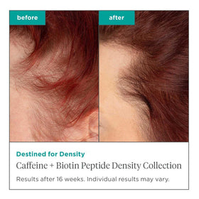 Briogeo shampoo pump closeup highlighting easy dispensing and scalp-refresh benefit