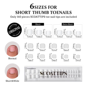 BTArtboxnails layout of 16 numbered sizes for accurate fitting