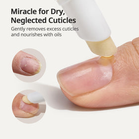 BTARTBOXNAILS hollow oil reservoir detail for steady oil flow benefit