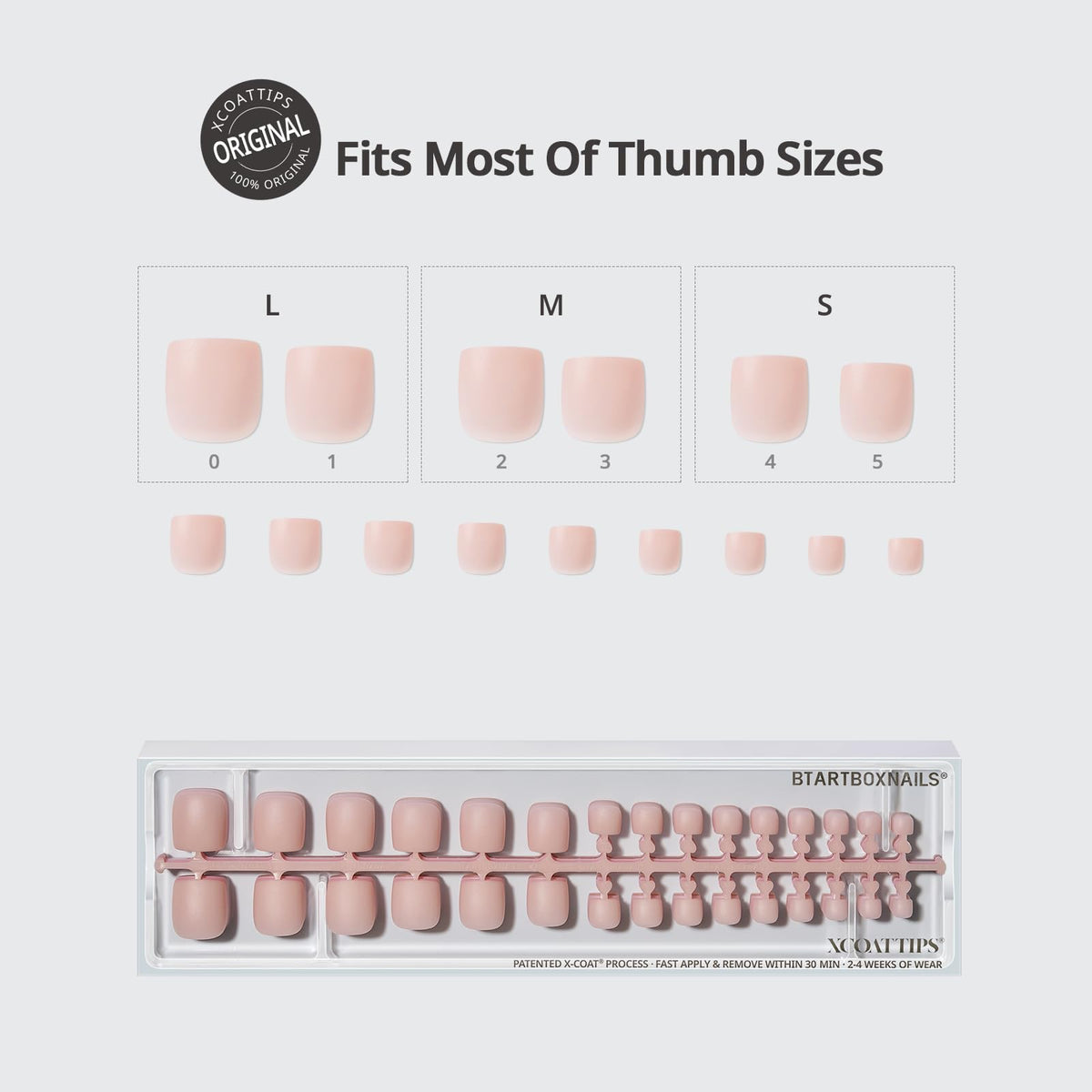 BTArtboxnails 15 sizes laid out to show tailored fit for every toe