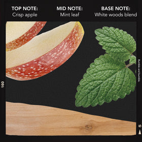 Bumble and bumble label close-up showing claims and color-safe formula information