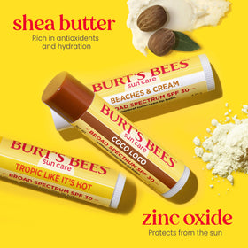 Burt's Bees close-up of open tube shows smooth balm texture and coverage