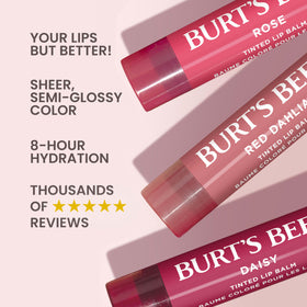 Burt's Bees Daisy twist-up open showing reddish purple color and moisture