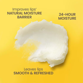 Burt's Bees flavor lineup on white background highlighting four scent options and variety