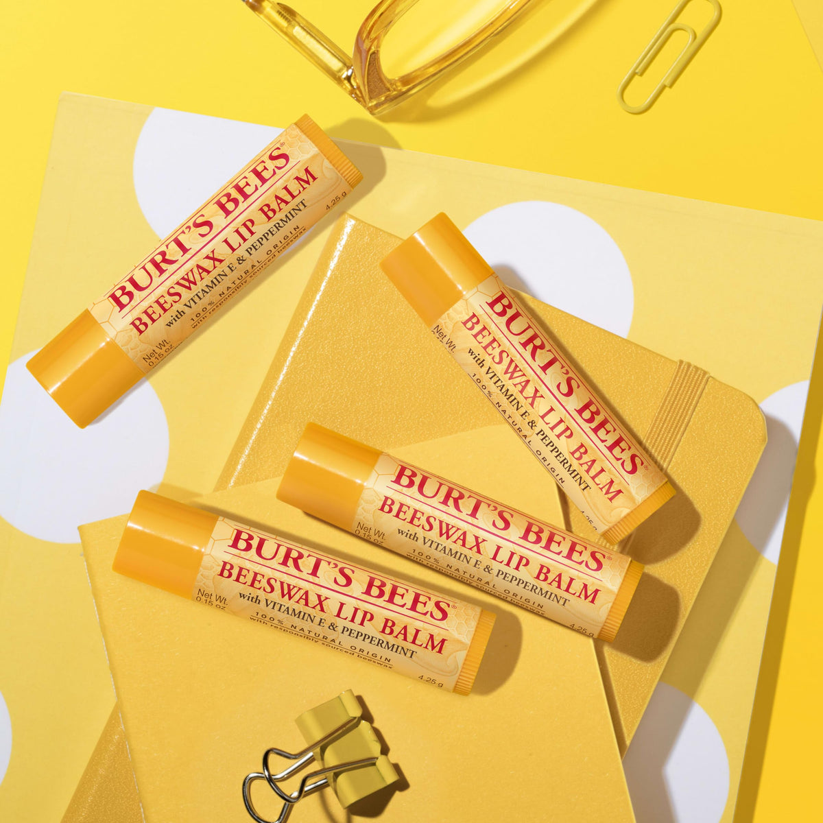 Burt's Bees group pack gift idea, ideal for back-to-school sharing