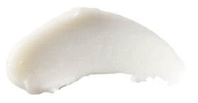 Burt's Bees lip butter placed in a bag ready for on-the-go hydration