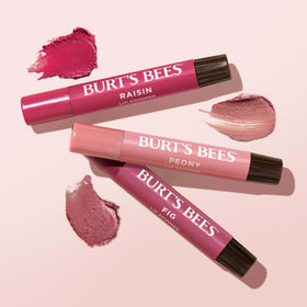 Burt's Bees ingredients flatlay with shea and cocoa butters highlighted