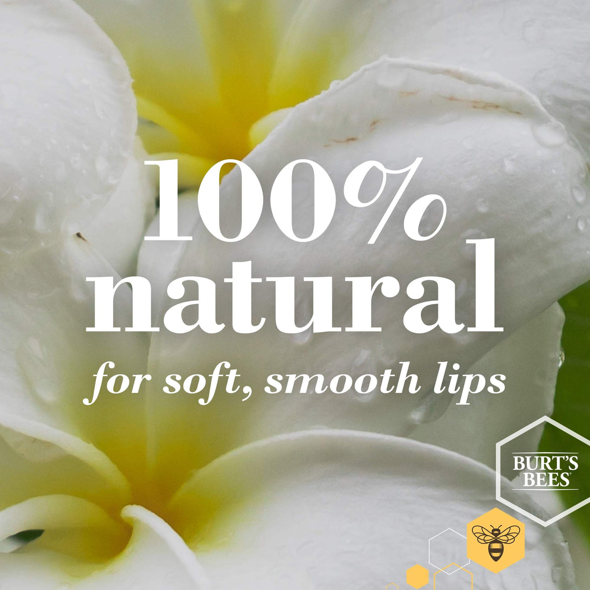 Burt's Bees open tin texture shot highlighting smooth moisturizing butter