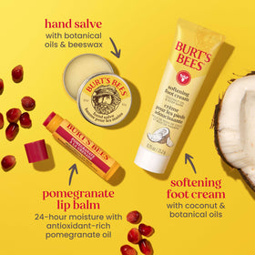 Burt's Bees texture swatches of creams and balm, highlights lightweight absorption