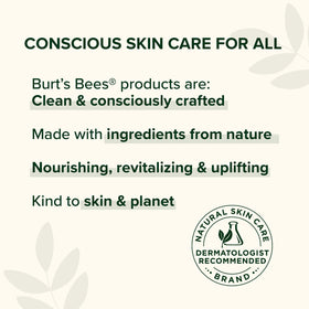 Burt's Bees shea butter and aloe depiction emphasizing natural ingredients