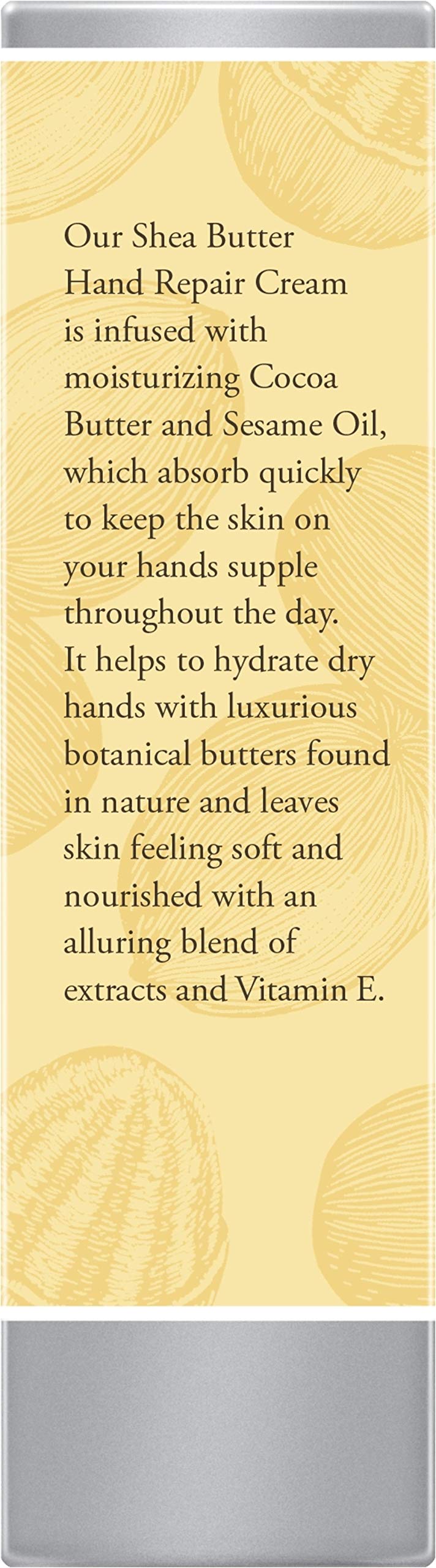 Burt's Bees three-pack arranged to show value and consistent daily care
