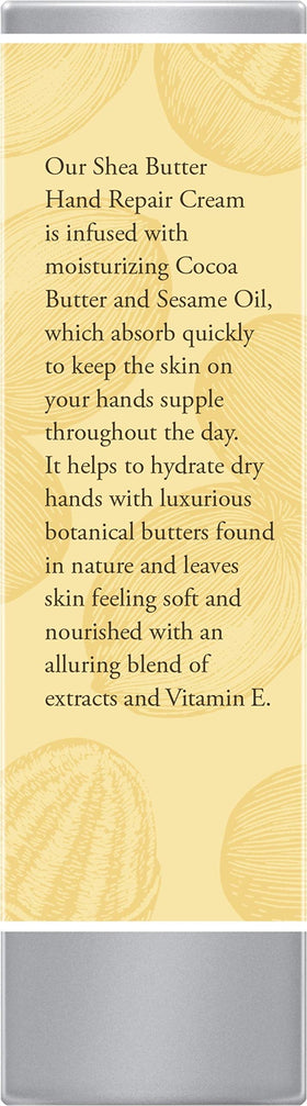 Burt's Bees three-pack arranged to show value and consistent daily care