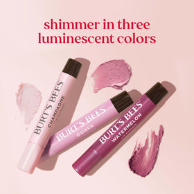 Burt's Bees three tubes arranged flatlay highlighting variety and travel-ready size