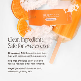 Bushbalm product label detail Vanilla Tangerine scent and ingredient clarity