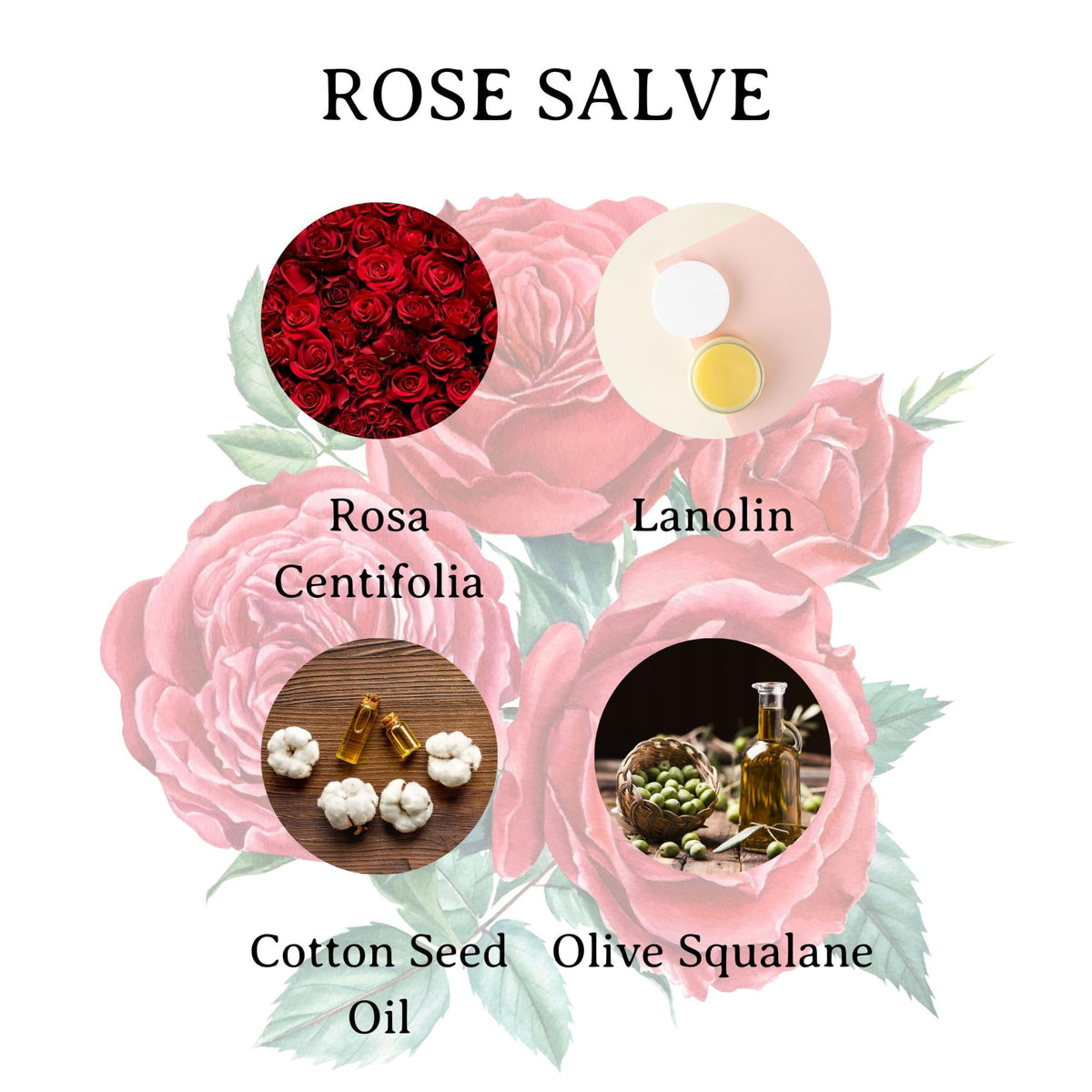 C.O. Bigelow applying rose salve to lips demonstrating hydration benefit