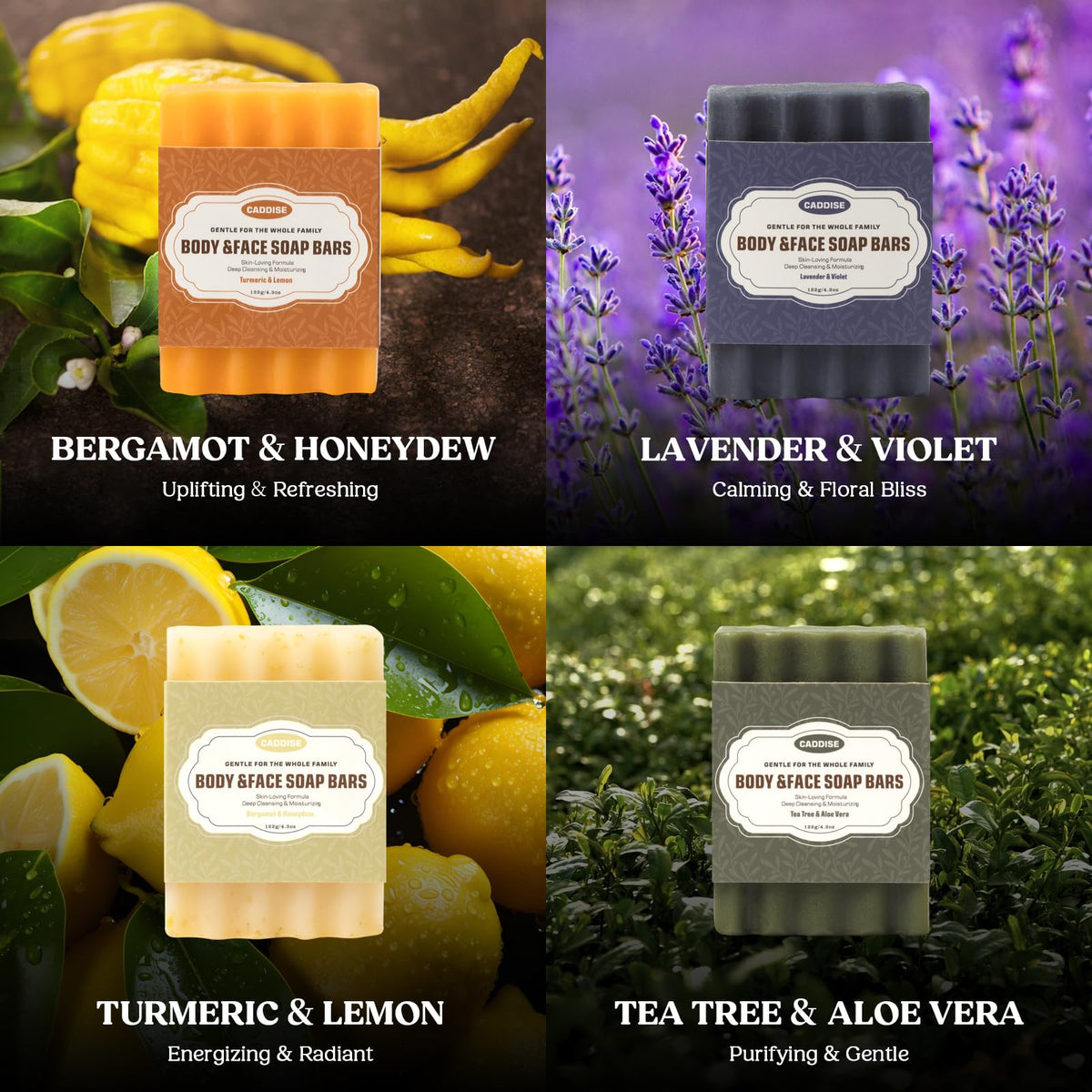 CADDISE ingredient display tea tree and coconut highlighting natural oils