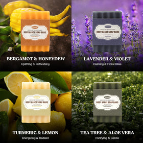 CADDISE ingredient display tea tree and coconut highlighting natural oils