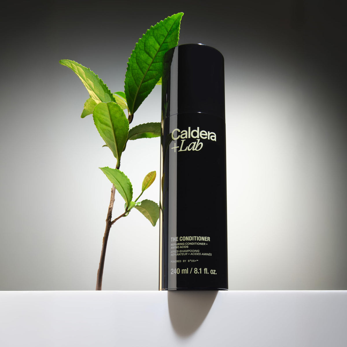 Caldera + Lab creamy conditioner texture close-up demonstrating smooth hydration