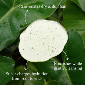 California Naturals pump dispensing shampoo showing creamy texture and easy application
