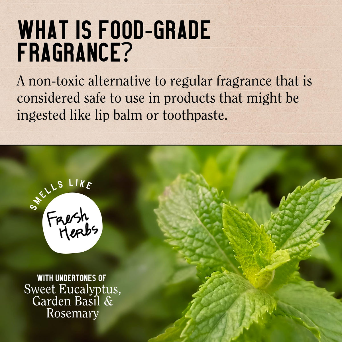 California Naturals Re:GRO ingredients flatlay showing botanical blend